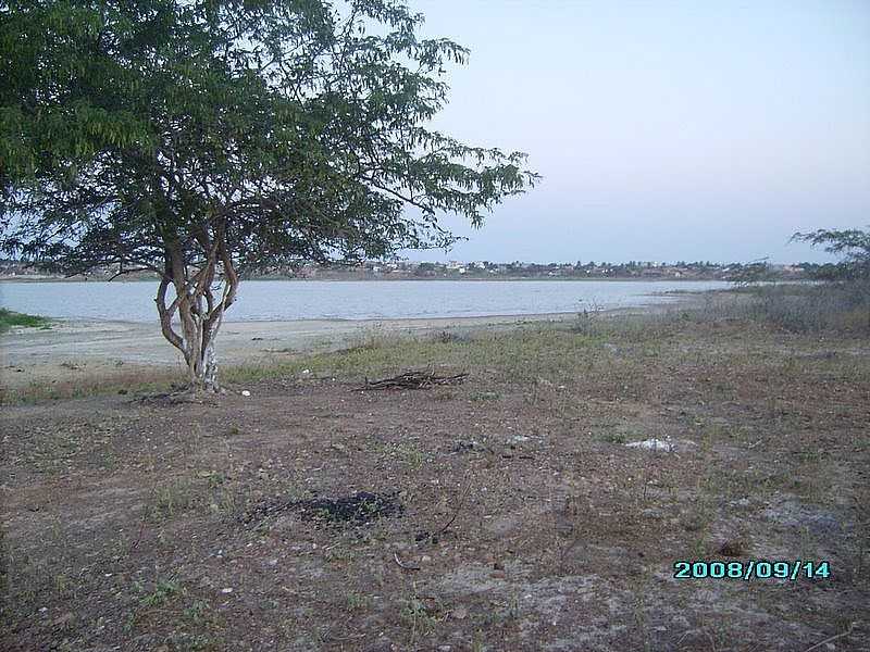 CAMPO ALEGRE DE LOURDES-BA-MARGEM DO RIO E AO FUNDO A CIDADE-FOTO:JAMES PEREIRA DOS SANTOS - CAMPO ALEGRE DE LOURDES - BA