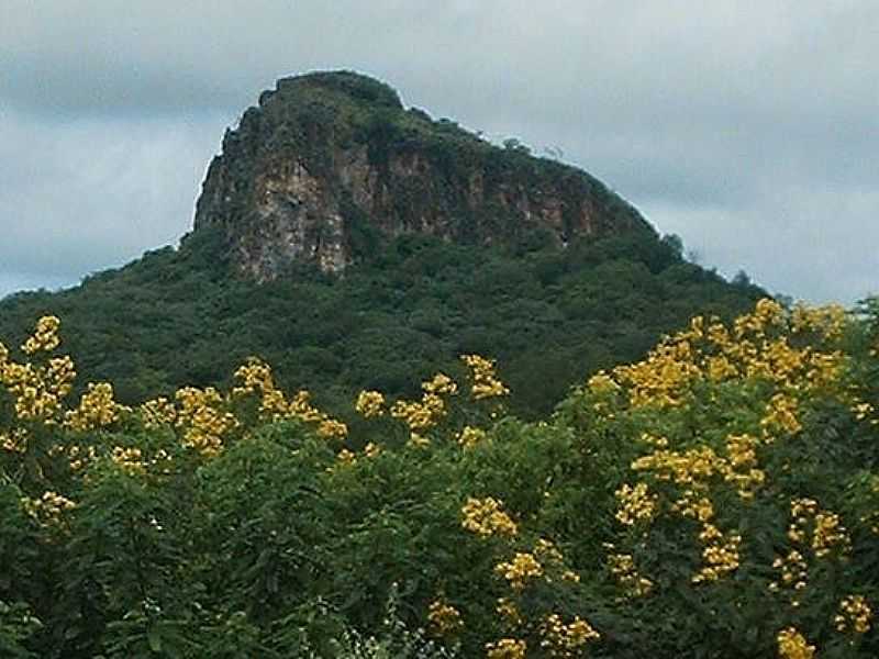 CAMPO ALEGRE DE LOURDES-BA-MORRO TUIUIU-FOTO:JAMES PEREIRA DOS SANTOS  - CAMPO ALEGRE DE LOURDES - BA