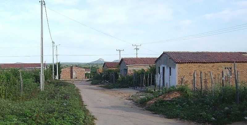 CAMPO ALEGRE DE LOURDES-BA-RUA EM BAIRRO-FOTO:JAMES PEREIRA DOS SANTOS - CAMPO ALEGRE DE LOURDES - BA