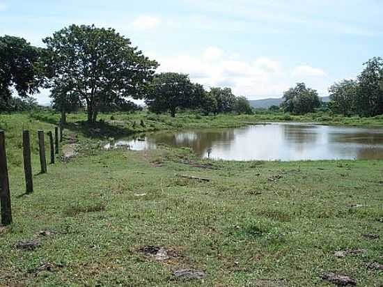 SO GERALDO DO ARAGUAIA-PA-VRZEA SAZONAL EM REA DE PASTAGEM-FOTO:JOO HENRIQUE ROSA - SO GERALDO DO ARAGUAIA - PA