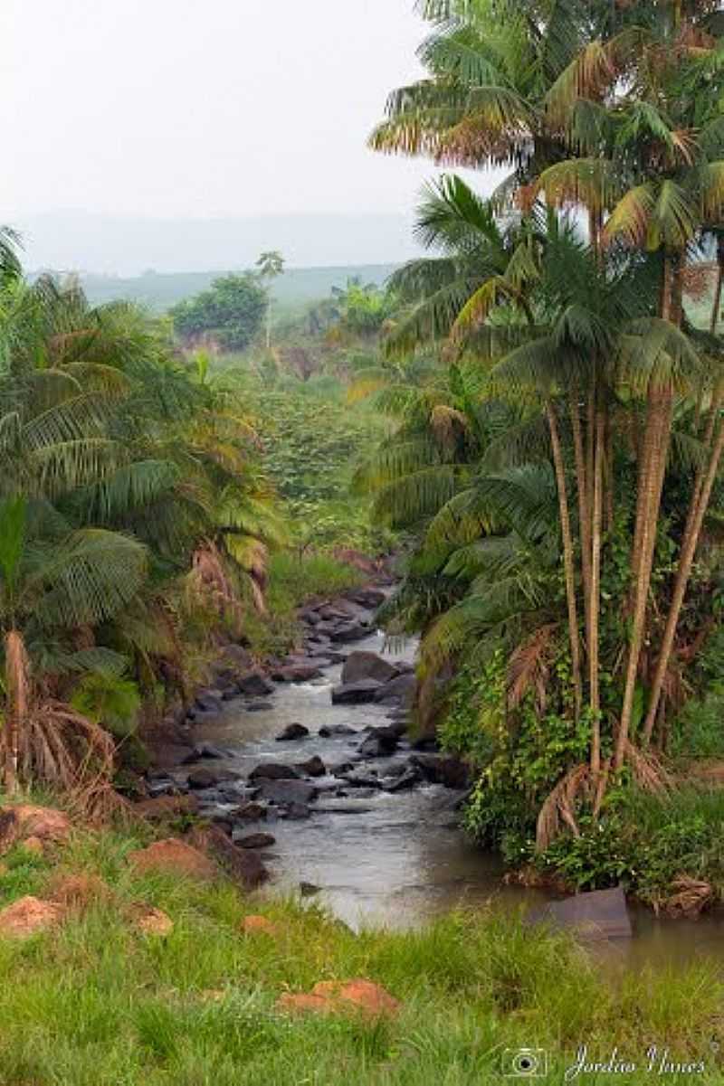 SERRA PELADA-PA-RIO EM SERRA PELADA-FOTO:JORDAO NUNES FARIAS - SERRA PELADA - PA