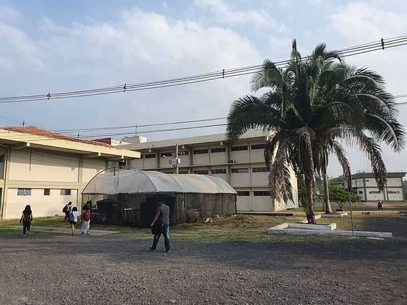 IMAGENS DO DISTRITO DE TAUARIZINHO NO MUNICPIO DE PEIXE-BOI-PA - TAUARIZINHO - PA