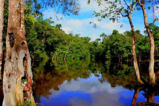 RIO GRANDE, POR HLIO MACHADO - TERRA ALTA - PA