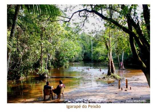 IGARAP DO PEIXO, POR HLIO MACHADO - TERRA ALTA - PA