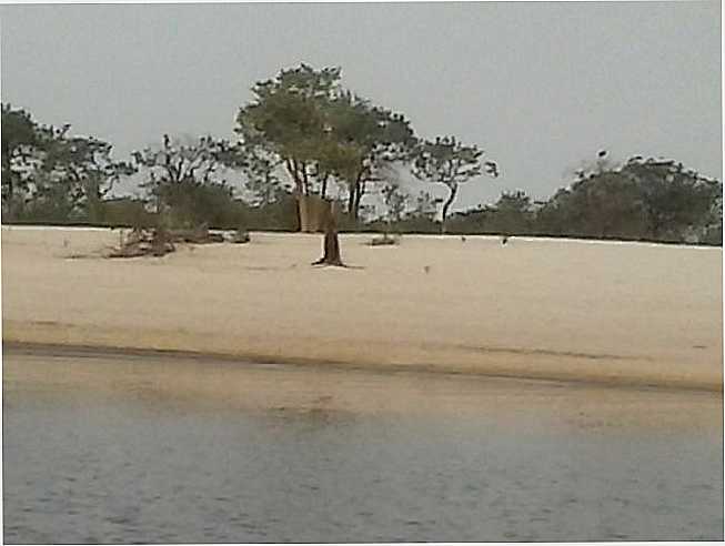 PRAIA RIO JAMARI, POR ROSIANE BRITO CAVALCANTE - TERRA SANTA - PA