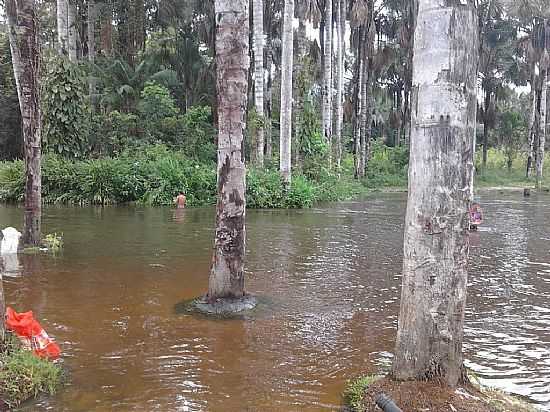 TRACUATEUA-PA-RIO PONTE-FOTO:RAI 389 - TRACUATEUA - PA