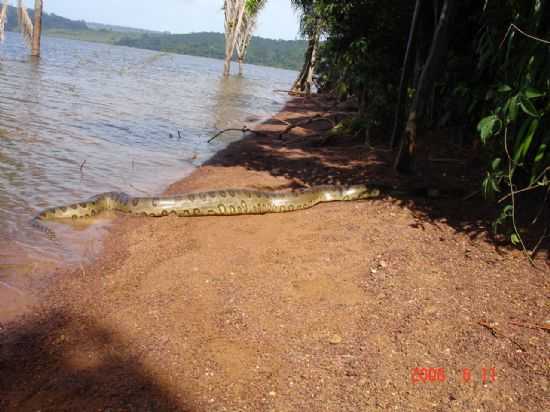 PRESERVE A NATUREZA LAGO DE TUCURU, POR EVANDRO V. FEPE - TUCURU - PA