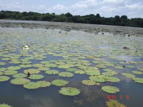  BARRAGEM, POR EVANDRO V. FEPE - TUCURU - PA