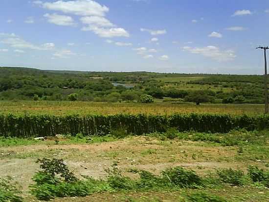 AGRICULTURA  BEIRA DO RIO JACAR EM CANARANA-BA-FOTO:MMALENCAR - CANARANA - BA