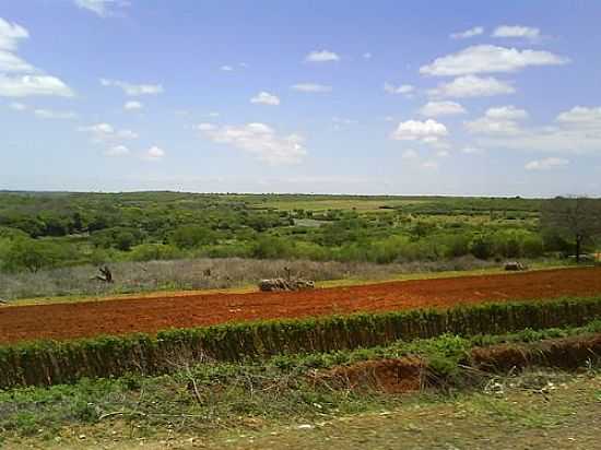 CHEGANDO EM CANARANA-BA-FOTO:MMALENCAR - CANARANA - BA