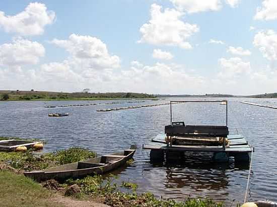 CRIAO DE TILPIAS NA BARRAGEM DE ARAAGI-FOTO:SAULO NAZION - ARAAGI - PB