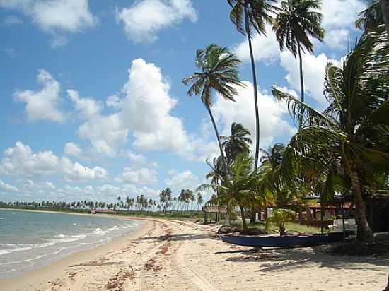 CASAS NA PRAIA DA BAA DA TRAIO-FOTO:ZOCA - BAA DA TRAIO - PB