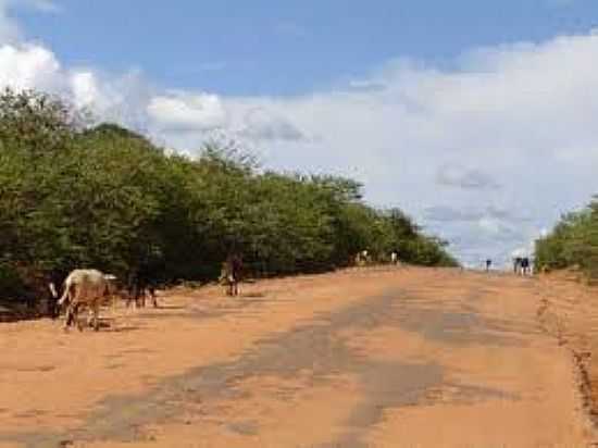 CANCH-FOTO:CARLOSBRITTO.  - CANCH - BA