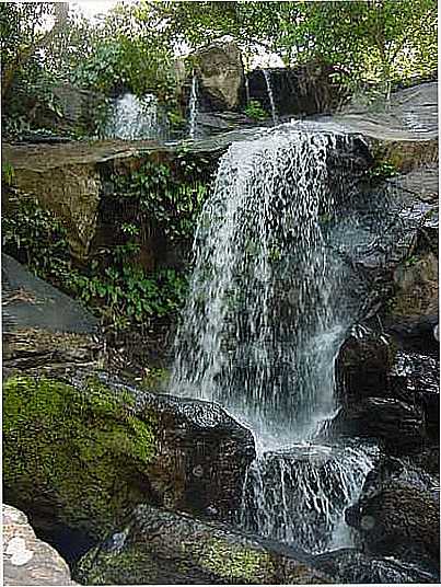 BANANEIRAS - CACHOEIRA DO RONCADOR - BANANEIRAS - PB