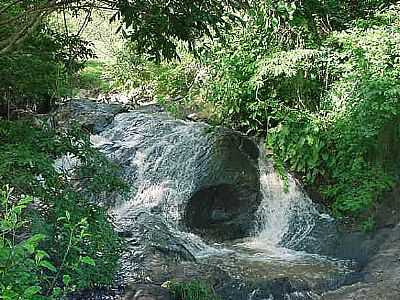 BANANEIRAS - CACHOEIRA DO RONCADOR - BANANEIRAS - PB