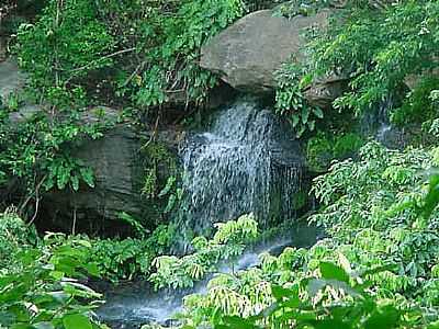 BANANEIRAS - CACHOEIRA DO RONCADOR - BANANEIRAS - PB