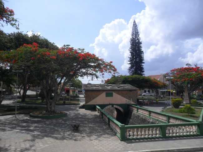 PRAA, POR LINDOALDO BATISTA DE LIMA - BANANEIRAS - PB