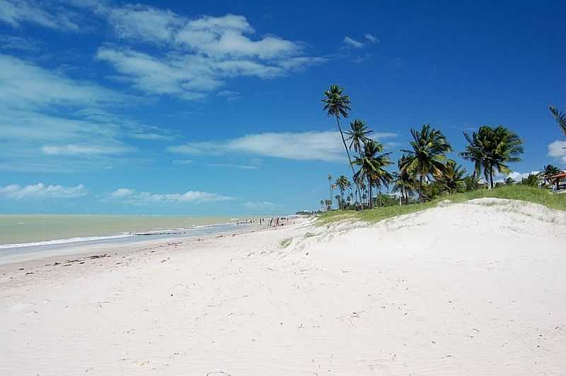 CABEDELO-PB-COQUEIROS NA PRAIA-FOTO:EDU JUNG  - CABEDELO - PB