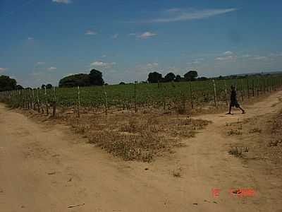 ZONA RURAL, POR EDSON HIGINO - CACIMBA DE DENTRO - PB