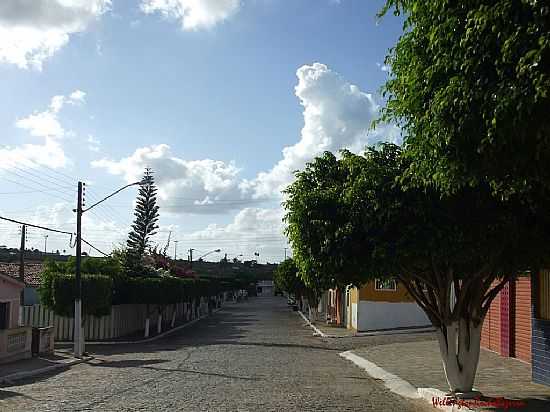 CACIMBA DE DENTRO-PB-RUA ARBORIZADA-FOTO:WELLINGTON ROCHA BEZ - CACIMBA DE DENTRO - PB