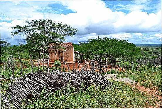 CACIMBAS-PB-CASINHA EM REA RURAL-FOTO:RAFAEL JOS RORATO - CACIMBAS - PB
