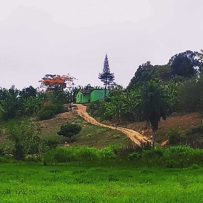 IMAGENS DO DISTRITO DE CEPILHO DO MUNICPIO DE AREIA-PB - CEPILHO - PB