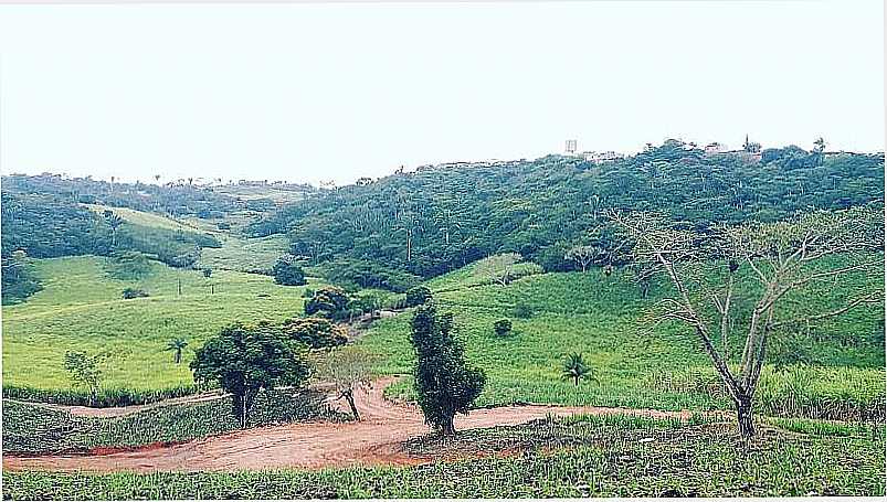 IMAGENS DO DISTRITO DE CEPILHO DO MUNICPIO DE AREIA-PB - CEPILHO - PB