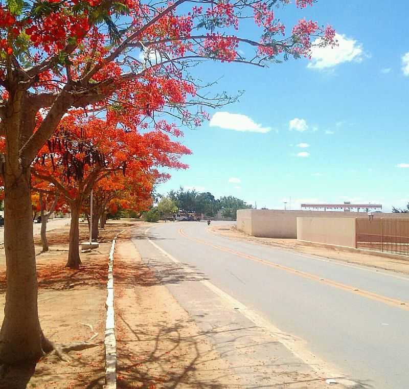 IMAGENS DA CIDADE DE CUIT - PB - CUIT - PB