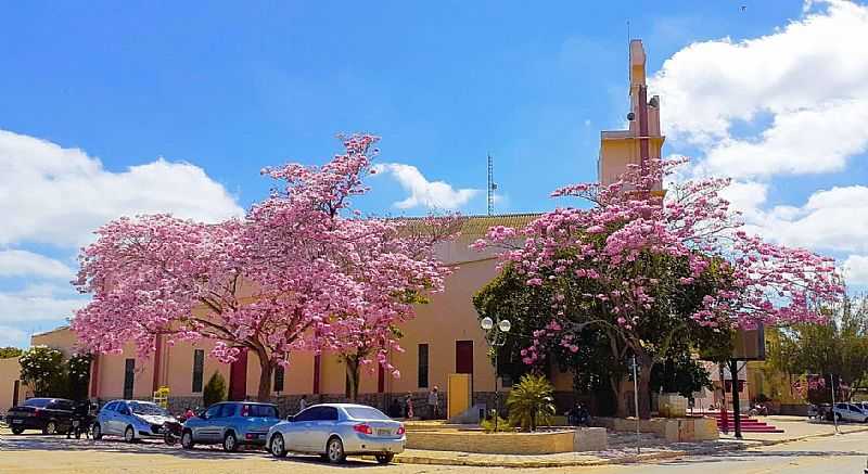 IMAGENS DA CIDADE DE CUIT - PB - CUIT - PB
