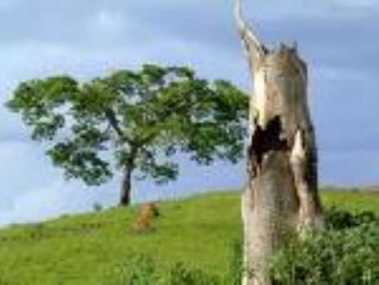 , POR CASSIO - CURRAL DE CIMA - PB
