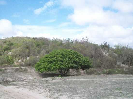 CAMINHADA DO TANQUE DO ARROZ, POR MARIA NATHIVA - DAMIO - PB