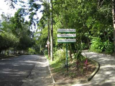 TRILHA NO JARDIM BOTNICO, POR   MARCONI DOS SANTOS - JOO PESSOA - PB