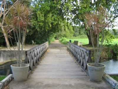 JARDIM BOTNICO DE J.PESSOA, POR    MARCONI DOA SANTOS - JOO PESSOA - PB