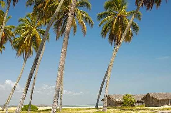 PRAIA DE CAMAARI-FOTO:MRIO TRIGUEIROS - LUCENA - PB