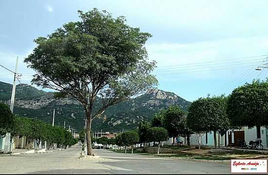 ME DGUA-PB-AVENIDA NA ENTRADA DA CIDADE-FOTO:EGBERTO ARAJO - ME D'GUA - PB