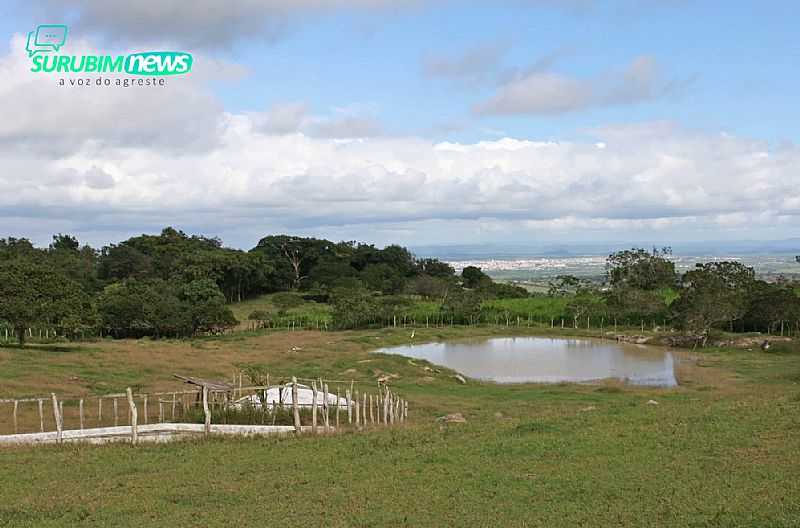 IMAGENS DO DISTRITO DE MATA VIRGEM NO MUNICPIO DE UMBUZEIRO-PB - MATA VIRGEM - PB