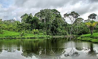 CAPIXABA FOTO
POR JEZAFLU=ACRE=BRASIL - CAPIXABA - AC