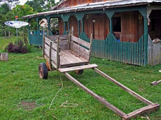 ZONA RURAL CAPIXABA-FOTO:JEZAFLU=ACRE=BRASIL - CAPIXABA - AC