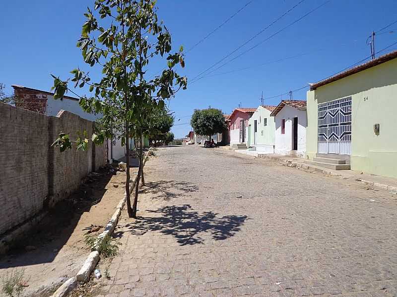 NOVA PALMEIRA-PB-RUA DA CIDADE-FOTO:FBIO MACEDO  - NOVA PALMEIRA - PB