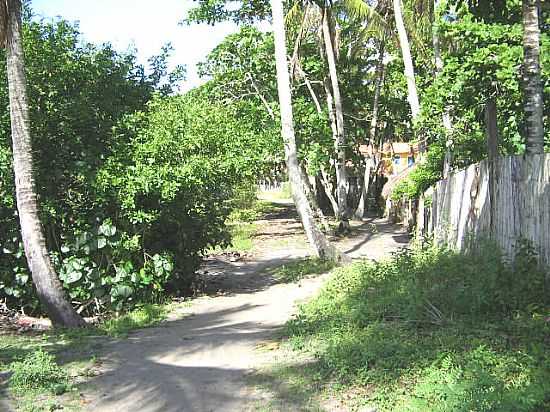 CAMINHO PARA PRAIA POUSADA BARRA EM CARAVA-BA - CARAIVA - BA