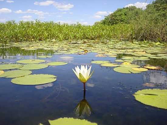 VITRIA RGIA NO AUDE JATOB EM PRINCESA ISABEL-FOTO:ALESSANDRO BEZERRA A - PRINCESA ISABEL - PB