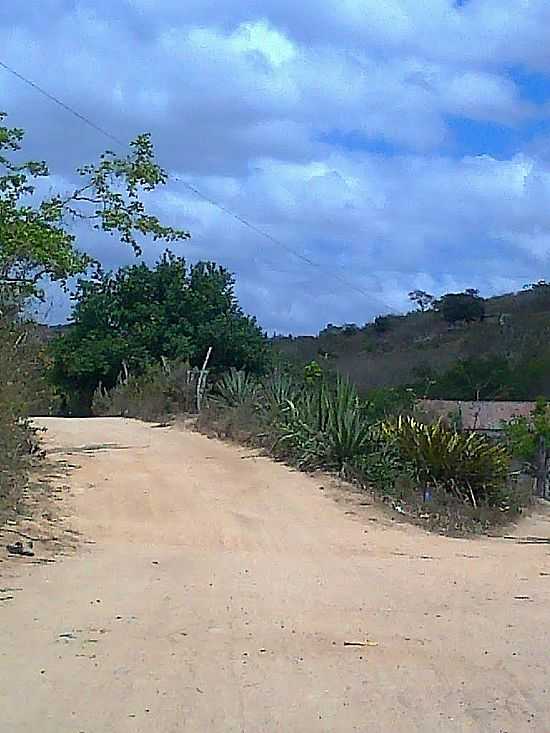 PUXINAN-PB-AV.MIN.ALCIDES CARNEIRO-FOTO:ELTONVIOL - PUXINAN - PB