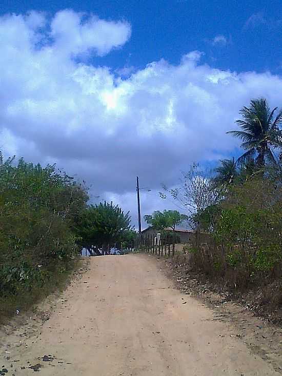 PUXINAN-PB-AV.MIN.ALCIDES CARNEIRO-FOTO:ELTONVIOL - PUXINAN - PB