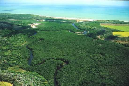 RIO MIRIRI, POR JOS MEDEIROS DE LIMA - RIO TINTO - PB