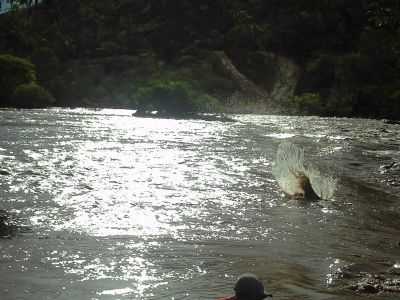 RIO DO BOI SECO, POR JAQUELINE - SANTA CECLIA DE UMBUZEIRO - PB