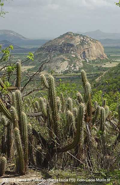 SERRA DO TALHADO FOTO
CACIO MURILO.JPG - SANTA LUZIA - PB