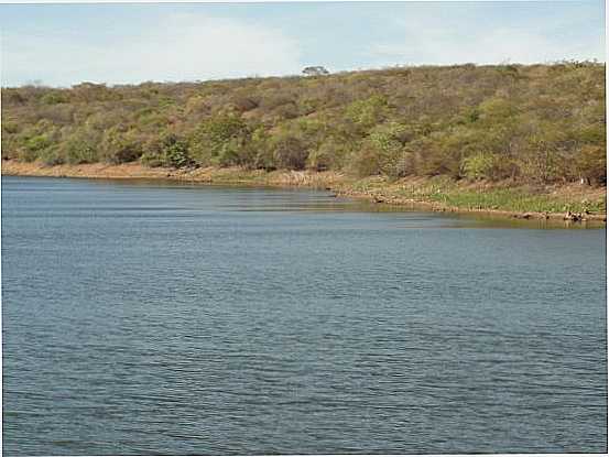 VEGETAO DA NOSSA CAATINGA NO SERTO, POR LAMARTINE NOBRE - SO JOO DO RIO DO PEIXE - PB