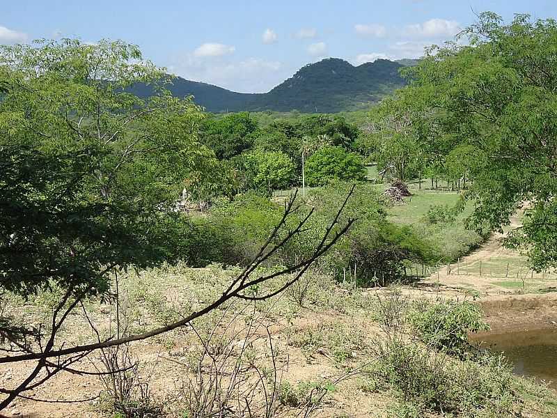 SO JOS DA LAGOA TAPADA-PB-PAISAGEM DA REGIO-FOTO:FRANCISCO SEVERO - SO JOS DA LAGOA TAPADA - PB