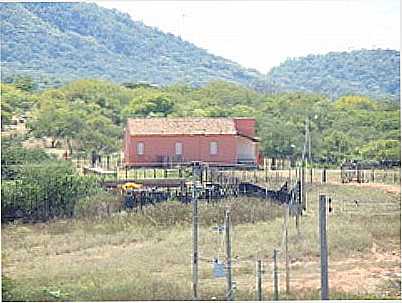 REA RURAL-FOTO:ISNOBB - SO JOS DE ESPINHARAS - PB