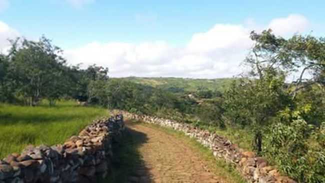 ESTRADA PARA COMUNIDADE QUILOMBOLA DE LIVRAMENTO EM SO JOS DE PRINCESA, POR DAMIO FERREIRA BEZERRA - SO JOS DE PRINCESA - PB